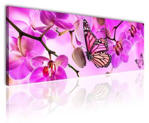 120x50cm - Pillangó és orchidea vászonkép