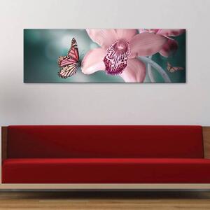 120x50cm - Pillangó és orchidea vászonkép