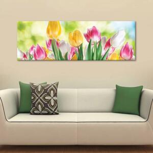 120x50cm - Mosolygó tulipánok vászonkép