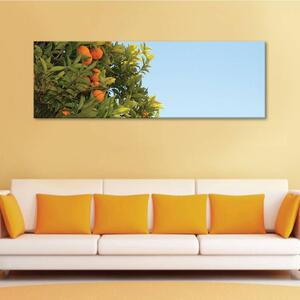 120x50cm - Narancs fa vászonkép