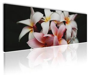 120x50cm - Gyönyörű virágok vászonkép