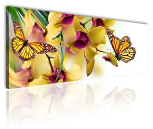 120x50cm - Orchidea és pillangó vászonkép