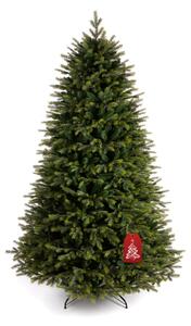 Karácsonyfa Cashmere lucfenyő 220 cm