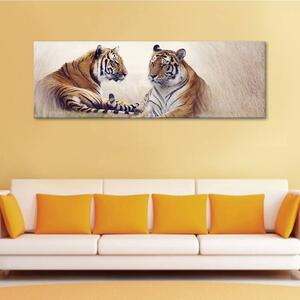 120x50cm - Pihenő tigrisek vászonkép