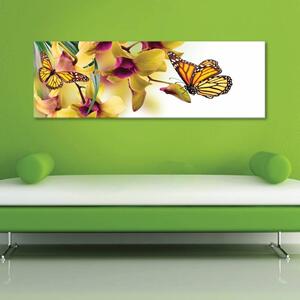 120x50cm - Orchidea és pillangó vászonkép