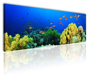 120x50cm - Óceán mélyén vászonkép