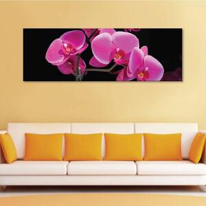 120x50cm - Rózsaszín orchidea vászonkép