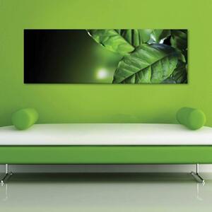 120x50cm - Zöld levelek vászonkép
