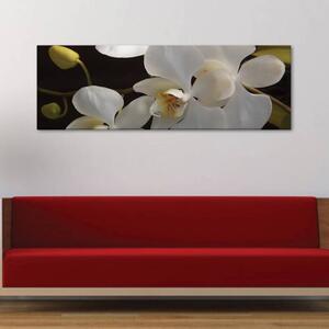 120x50cm - Fehér orchideák vászonkép