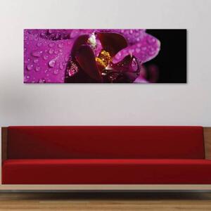 120x50cm - Orchidea és vízcsepp vászonkép