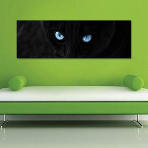 120x50cm - Kék macskaszemek vászonkép