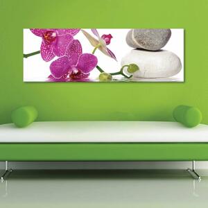 120x50cm - Orchidea és spa vászonkép