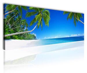 120x50cm - Pálmafák homok és tengerpart vászonkép