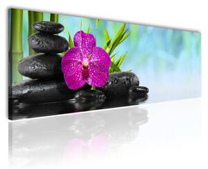 120x50cm - Yoga Orchideák vászonkép