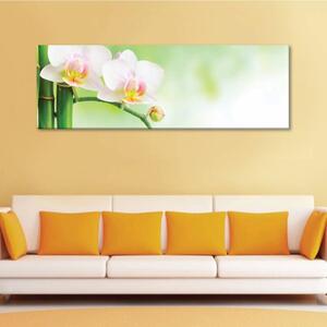 120x50cm - Spa bambusz orchidea vászonkép