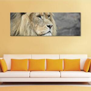 120x50cm - Az oroszlán szemei vászonkép