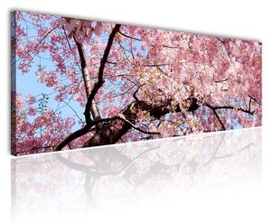 120x50cm - Virágzó fa vászonkép