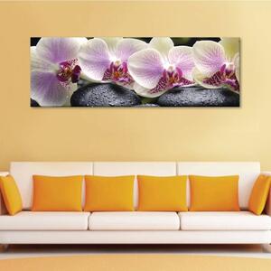 120x50cm - Békés orchideák vászonkép