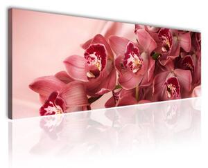 120x50cm - Orchidea csokor vászonkép