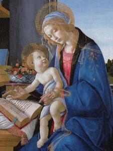 Festmény reprodukció The Madonna & The Book - Sandro Botticelli, (30 x 40 cm)