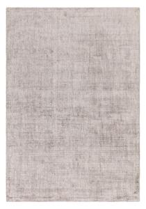 Szürke szőnyeg 170x120 cm Aston - Asiatic Carpets