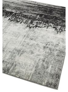 Szürke szőnyeg 170x120 cm Nova - Asiatic Carpets
