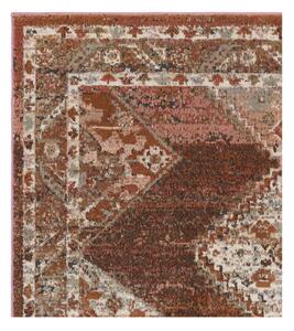Piros-barna szőnyeg 170x120 cm Zola - Asiatic Carpets