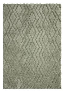 Zöld szőnyeg 170x120 cm Harrison - Asiatic Carpets