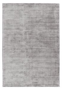 Szürke szőnyeg 170x120 cm Blade - Asiatic Carpets