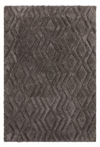 Szürke szőnyeg 170x120 cm Harrison - Asiatic Carpets