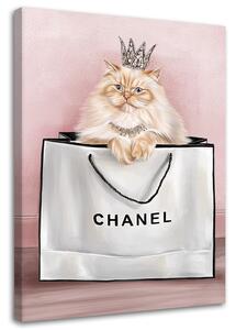 Gario Vászonkép Macska a Chanel táskában Méret: 40 x 60 cm