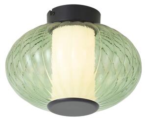 Design mennyezeti lámpa fekete 28 cm zöld üveggel, LED-del, 3 lépésben szabályozható - Margherite
