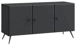 TV szekrény Fekete 99 x 34,5 x 50 cm Szerelt Fa