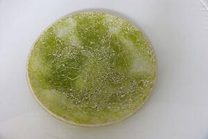 Zöld tányér tördelt üvegből 32cm