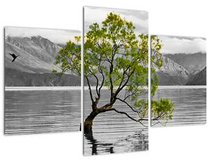 Fa képe a tó közepén (90x60 cm)