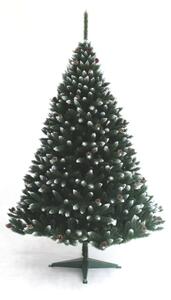 Ezüstfenyő fehér tobozzal - 150 cm