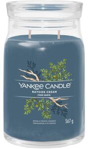 Yankee Candle Bayside Cedar Signature nagy illatos gyertya