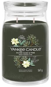 Nagy illatos gyertya Yankee Candle Ezüst zsálya és fenyő aláírás
