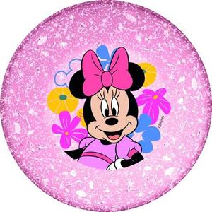 MÉLYTÁNYÉR MIKRÓZHATÓ MŰA. 22CM MINNIE