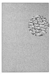 Szürke szőnyeg 200x300 cm Wolly – BT Carpet