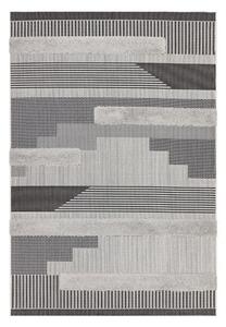 Szürke kültéri szőnyeg 120x170 cm Monty – Asiatic Carpets