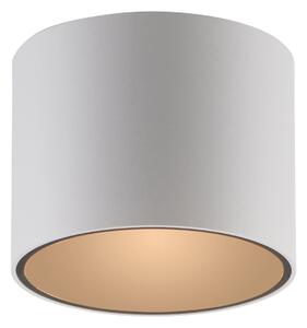 Mennyezeti Lámpa PURE, Point, dimmable, Fehér, Fürdőszoba, Fém, Modern
