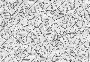 Fotótapéta - Monstera levelek (147x102 cm)