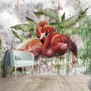 Fotótapéta - Flamingók betonfalon (147x102 cm)