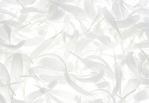 Fotótapéta - Fehér levelek (147x102 cm)