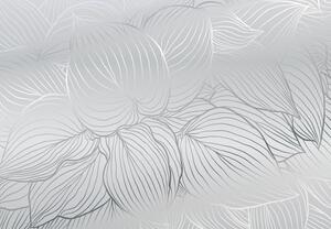 Fotótapéta - A levelek ezüst körvonalai (147x102 cm)