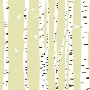 Öntapadó tapéta sűrű nyírfa erdő