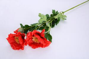 Művirágok PIPACS piros