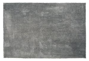 Világosszürke hosszú szálú szőnyeg 140 x 200 cm EVREN