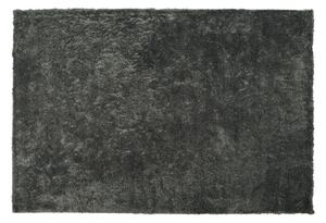 Hangulatos Hosszú Szőrű Sötétszürke Szőnyeg 140 x 200 cm EVREN